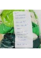 Pack Globos látex biodegradable combinados verdes